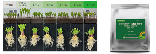 Pollen Polysaccharide 40%