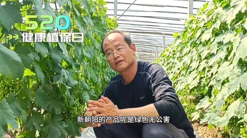 520健康植保日——擁抱綠色農業(yè)，我們在行動