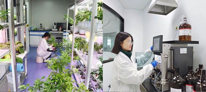 打造新朝陽生物科技“五張名片”，服務農業高質量發展！