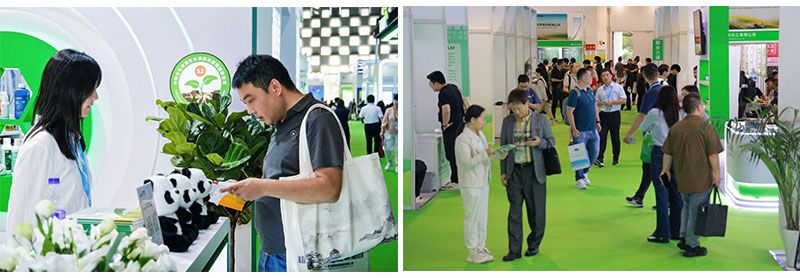 ACE 2025圓滿落幕 